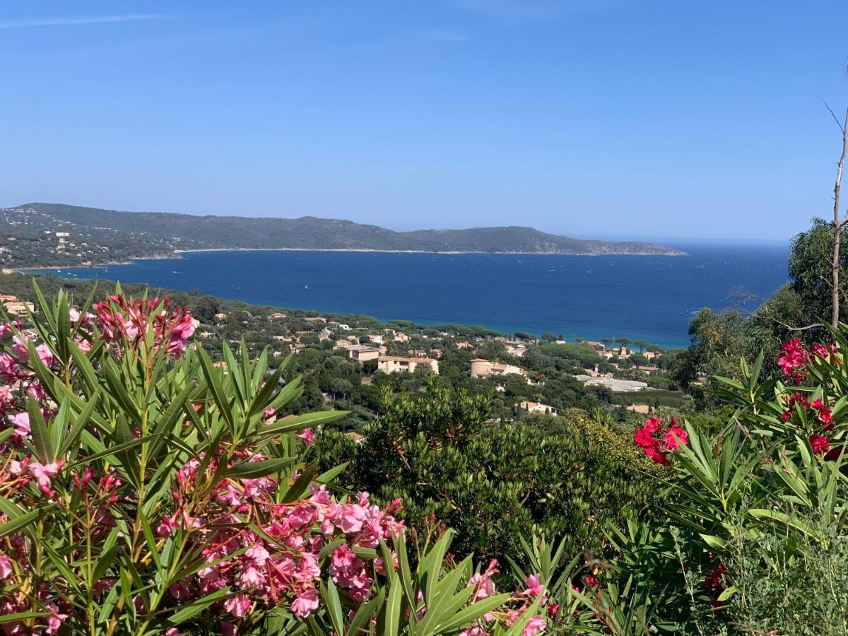 Villa Cacharelle Vue Mer Piscine Cavalaire-sur-Mer Εξωτερικό φωτογραφία